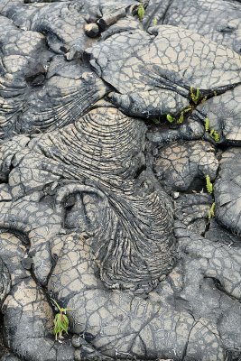 Ile de la Réunion - Sur la coulée de lave de 2001, sur laquelle on peut voir les plus belles laves cordées