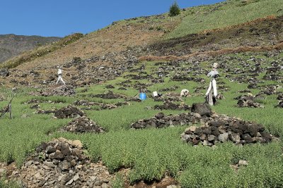 Dans le cirque de Cilaos