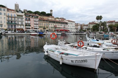 Découverte de la ville de Cannes, du Suquet, des ports, de la croisette, et des palaces...