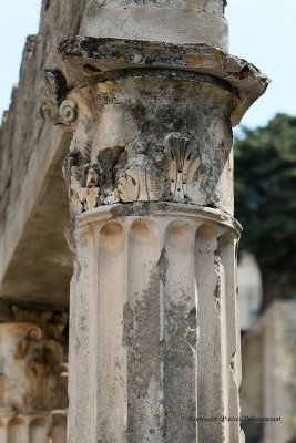 1876 Vacances a Naples 2009 - MK3_3929 DxO Pbase.jpg