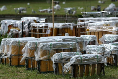 Nuits de Feu 2008 - jeudi 12 - 195MK3_8797 DxO web.jpg