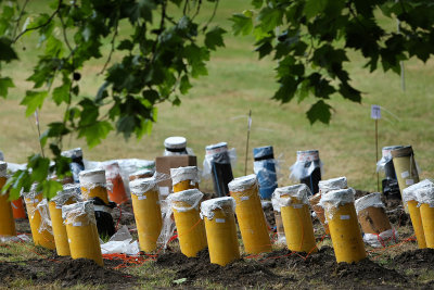 Nuits de Feu 2008 - jeudi 12 - 214MK3_8816 DxO web.jpg