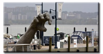 DC_Harbor_0660.jpg