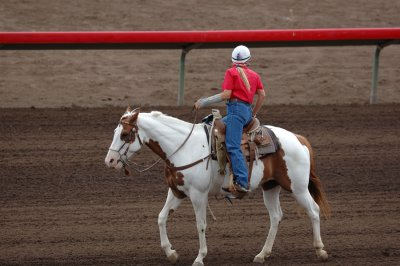 Flagstaff Horseshow