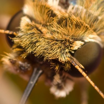 Skipper DOF example 5360 (V70)
