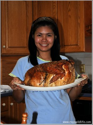 Daisy with turkey dinner