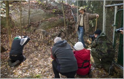 Muskoka Photographers.