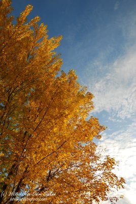 Bleu et Jaune