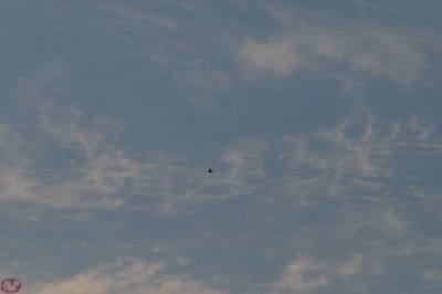 Alone in fantasy