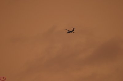 Evening flight