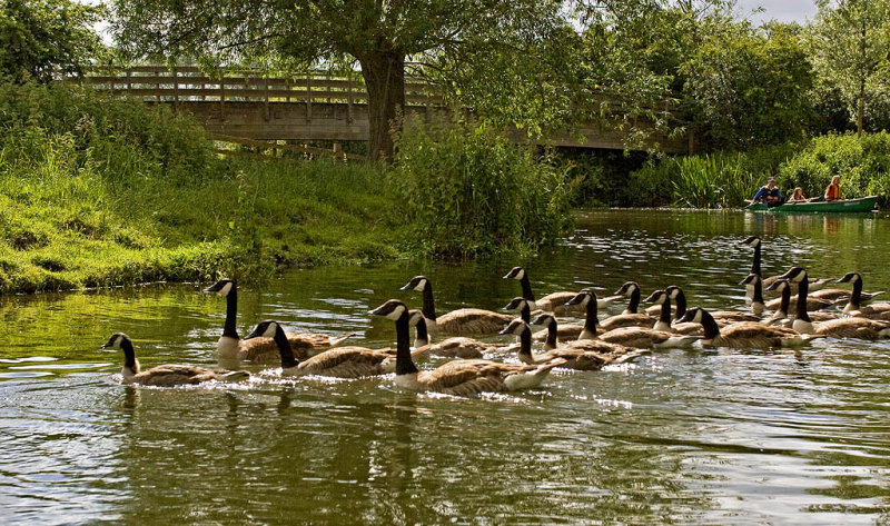 _MG_7426 Flatford.jpg