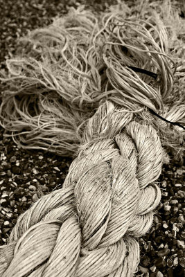 _MG_7649 dungeness.jpg