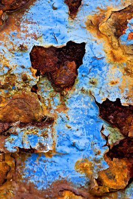 _MG_7740 dungeness.jpg