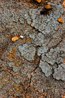 _MG_7752 dungeness.jpg