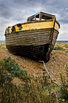 _MG_7757 dungeness.jpg