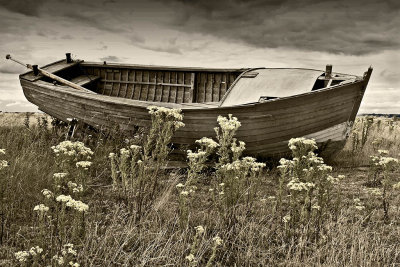 _MG_7763 dungeness.jpg
