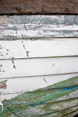 _MG_7767 dungeness.jpg