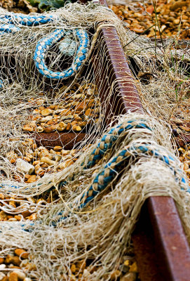 _MG_7790 dungeness.jpg