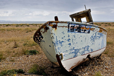 _MG_7801 dungeness.jpg