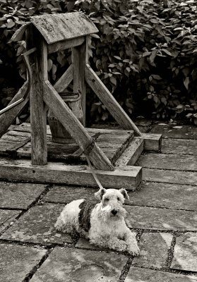 _MG_8240 sissinghurst.jpg