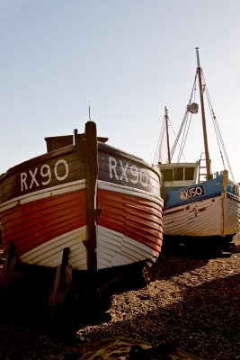 _MG_3250 hastings.jpg