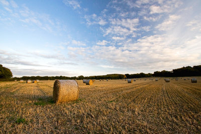 _MG_3265 haybales.jpg