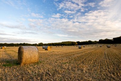 _MG_3266 haybales.jpg