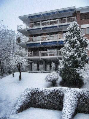 The first snow