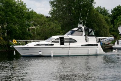 Broom 38 in Coothall.jpg