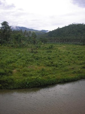 Mindorro 14