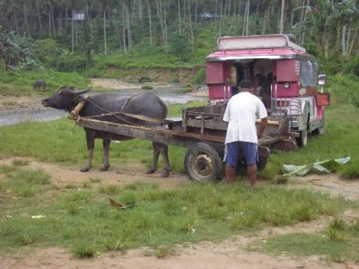 Mindorro 7