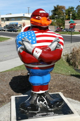 61_Freedom_Hokie.JPG