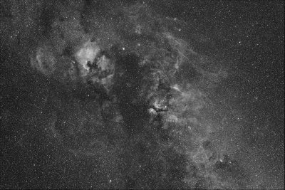 Cygnus with NGC 7000