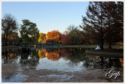 Boston Public Garden