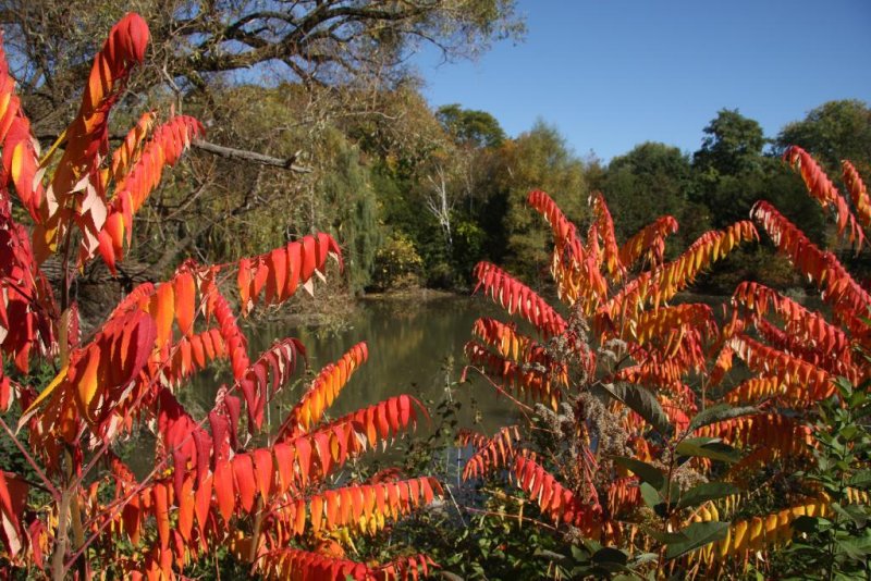 At The Mill Pond