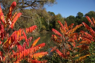 At The Mill Pond