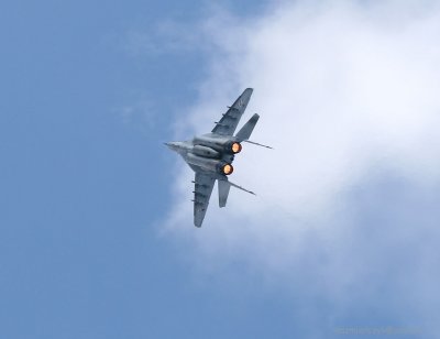 Karup 2008
