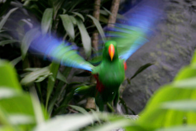 IMG_2170 f.jpg