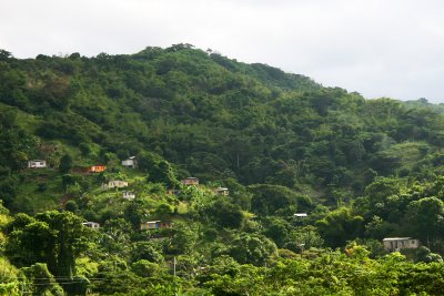 Jamaican Hillside