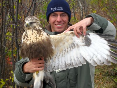 Me holding Rough-legged Hawk