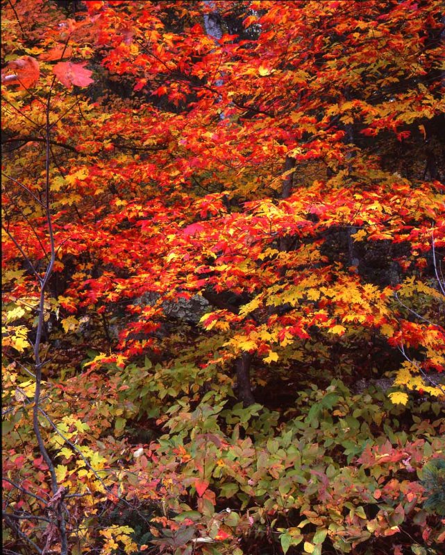 Devils Lake State Park, Wisconsin