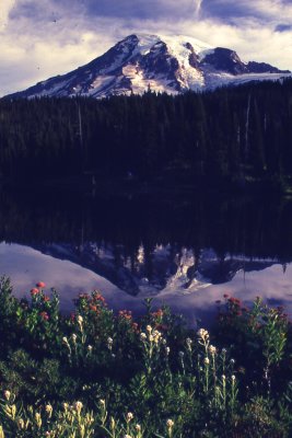 3 Reflection Lake, Mt. Rainier