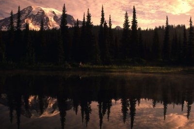 20 Reflection Lake, Mt. Rainier
