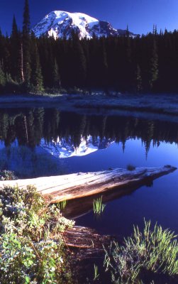 21 Reflection Lake, Mt. Rainier