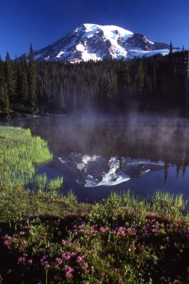 4 Reflection Lake, Mt. Rainier