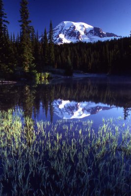 5 Reflection Lake, Mt. Rainier