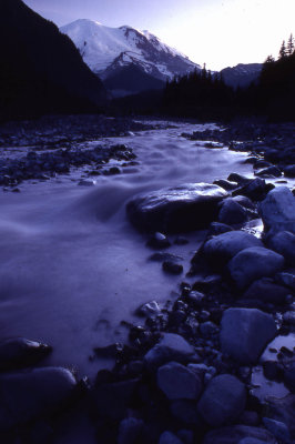 7White River, Mt. Rainier
