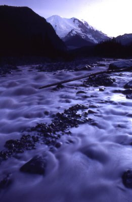 8 White River, Mt. Rainier