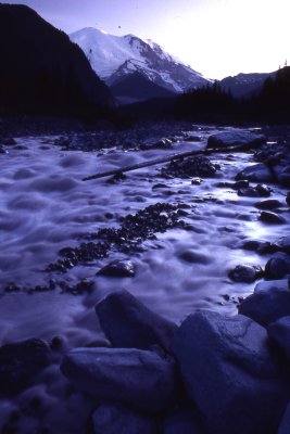 10 White River, Mt. Rainier