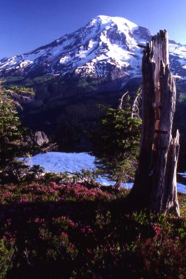 14 Pinnacle Peak, Mt. Rainier